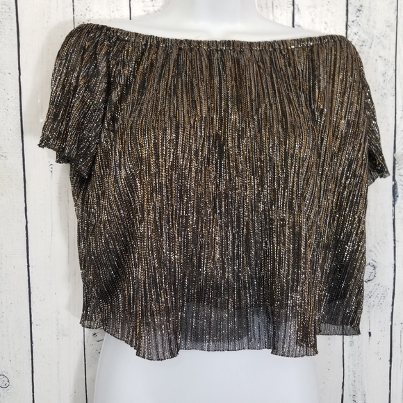Zara Tops Zara Sparkle Metallic Crop Top Poshmark